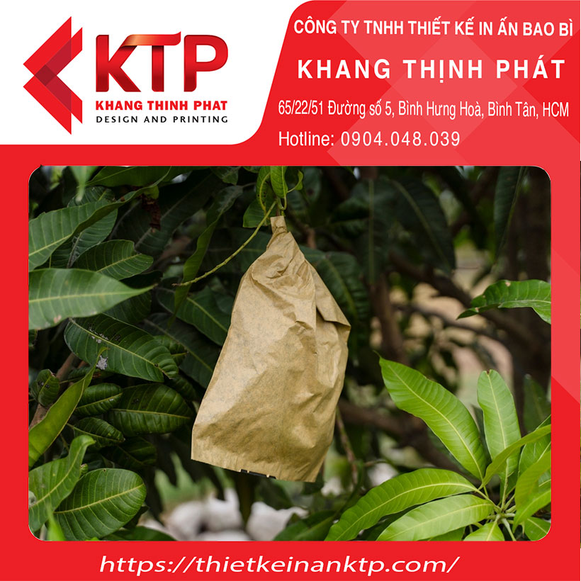 Dịch vụ in túi giấy bọc trái cây tại Khang Thịnh Phát