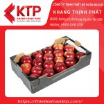 Khay đựng hoa quả bằng giấy carton