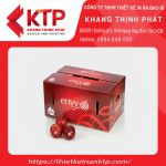 Thùng carton đựng táo xuất khẩu
